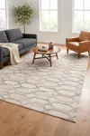 Carmona - Modern Carved Rug
